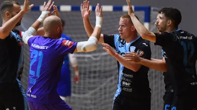 Hrvatski nogometni savez  za Sportsku Hrvatsku