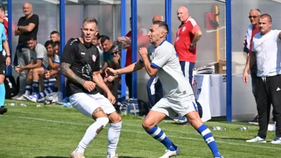 Hrvatski nogometni savez  za Sportsku Hrvatsku