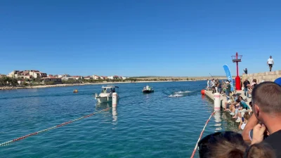 Hrvatski savez daljinskog plivanja ⓕ za Sportsku Hrvatsku