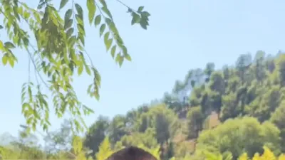 Hrvatski savez tajlandskog boksa ⓕ za Sportsku Hrvatsku