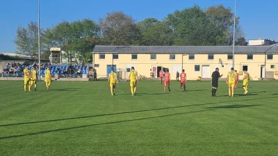 Požeški športski savez  za Sportsku Hrvatsku