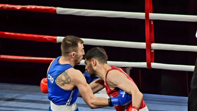 Hrvatski boksački savez  za Sportsku Hrvatsku