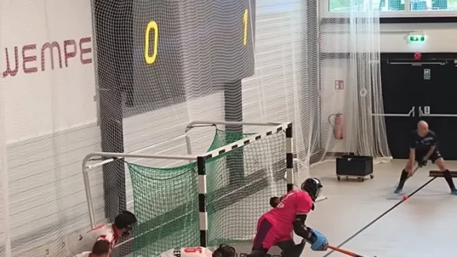 Hrvatski hokejski savez ⓕ za Sportsku Hrvatsku