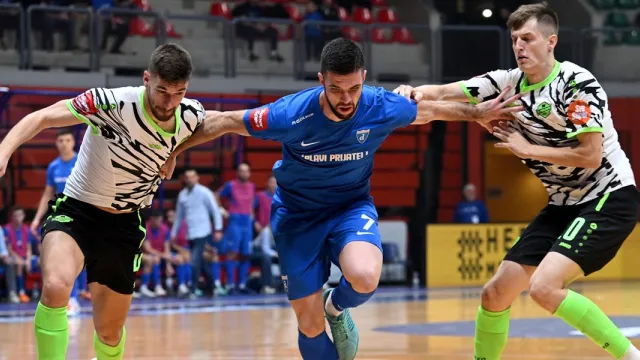 Hrvatski nogometni savez  za Sportsku Hrvatsku