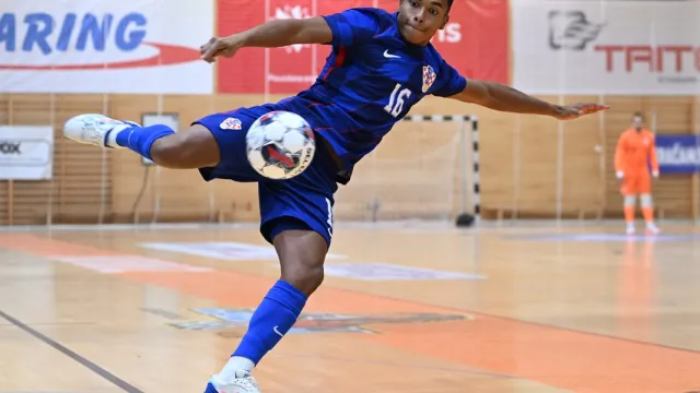 Hrvatski nogometni savez  za Sportsku Hrvatsku