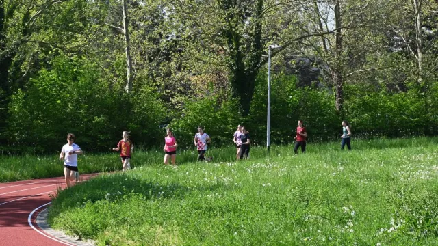 Hrvatski orijentacijski savez ⓕ za Sportsku Hrvatsku