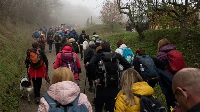 Hrvatski planinarski savez : Kutjevačko Marinje 2025.