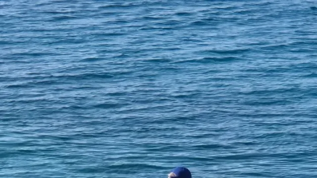 Hrvatski savez za športski ribolov na moru ⓕ za Sportsku Hrvatsku